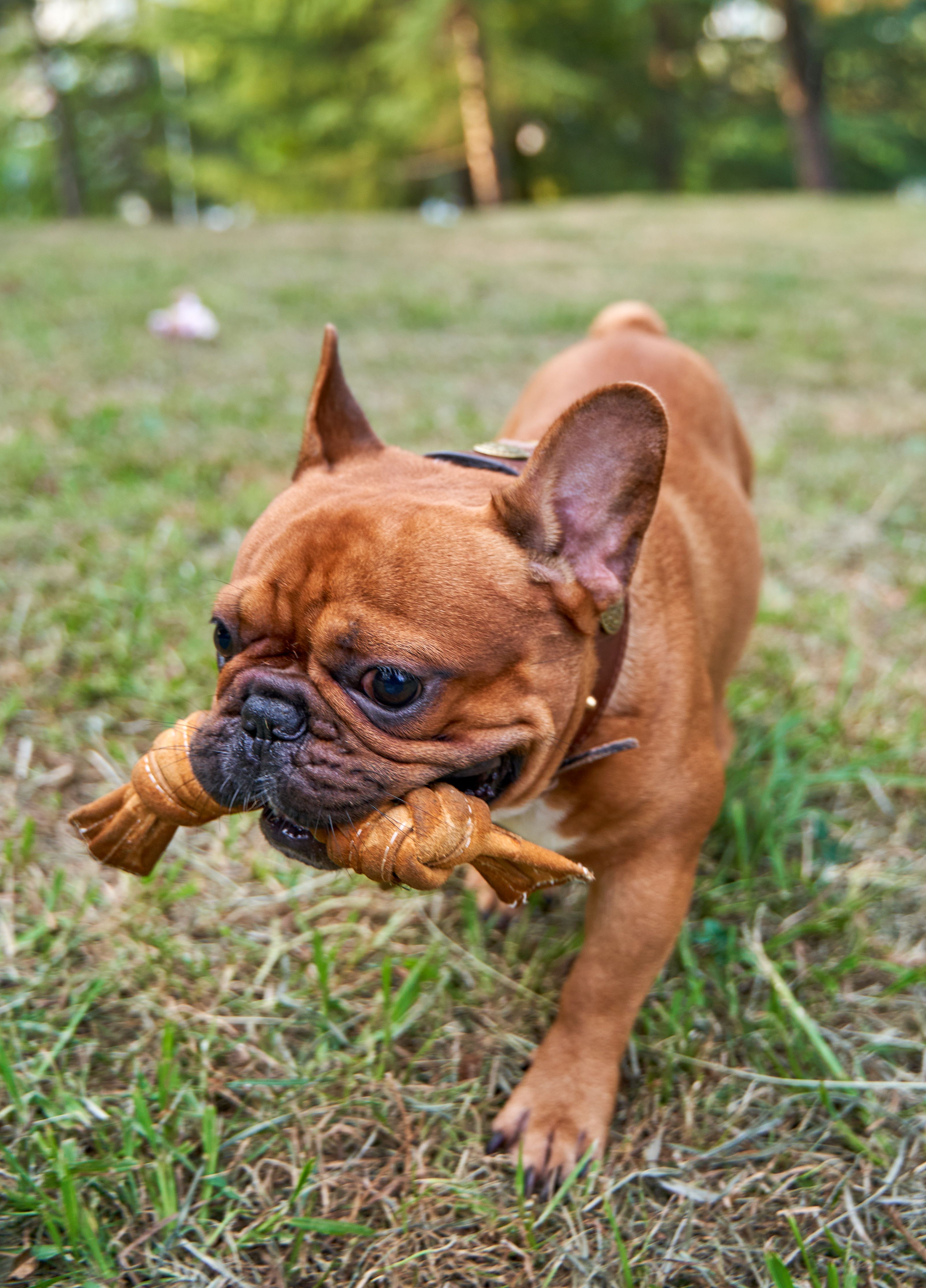 Produkt DTCT857344 Bild 5