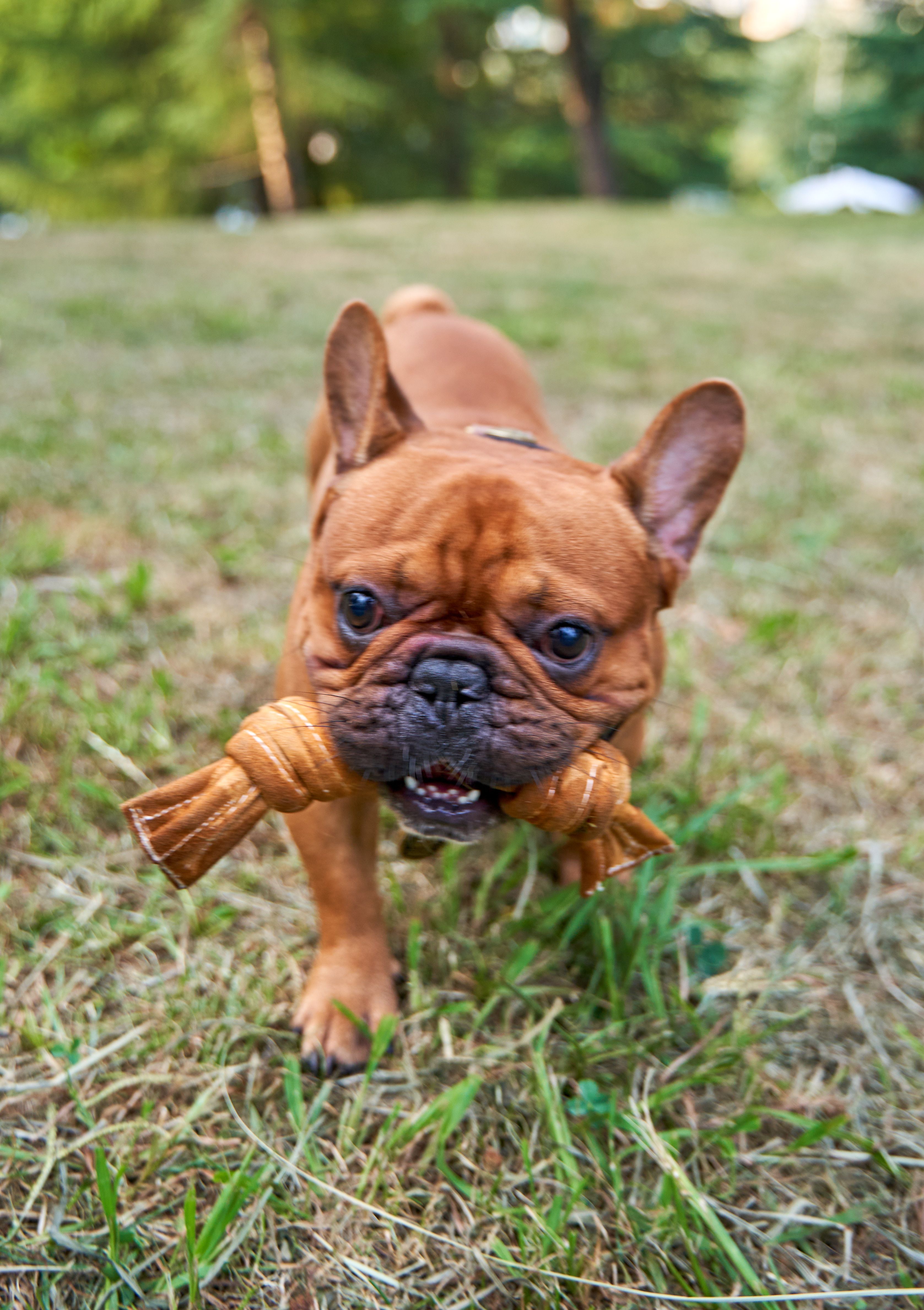 Produkt DTCT857344 Bild 6