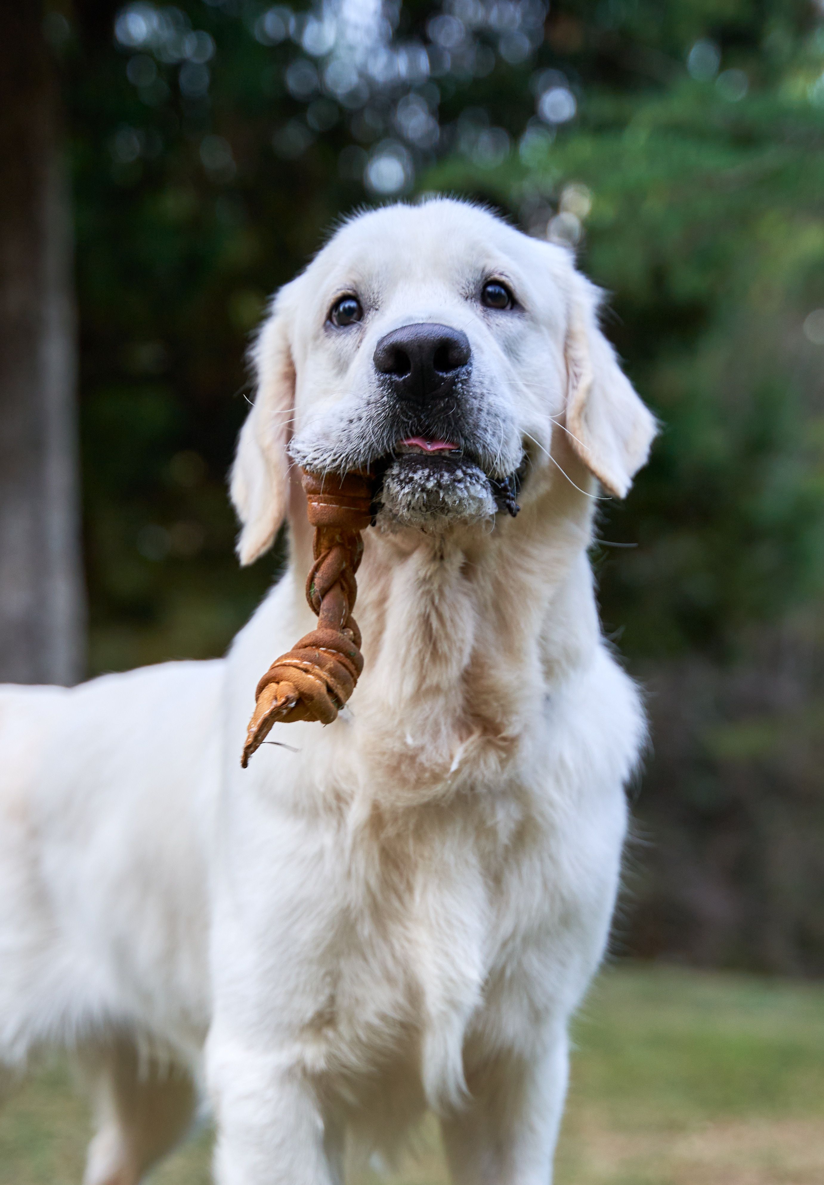 Produkt DTCT857344 Bild 7