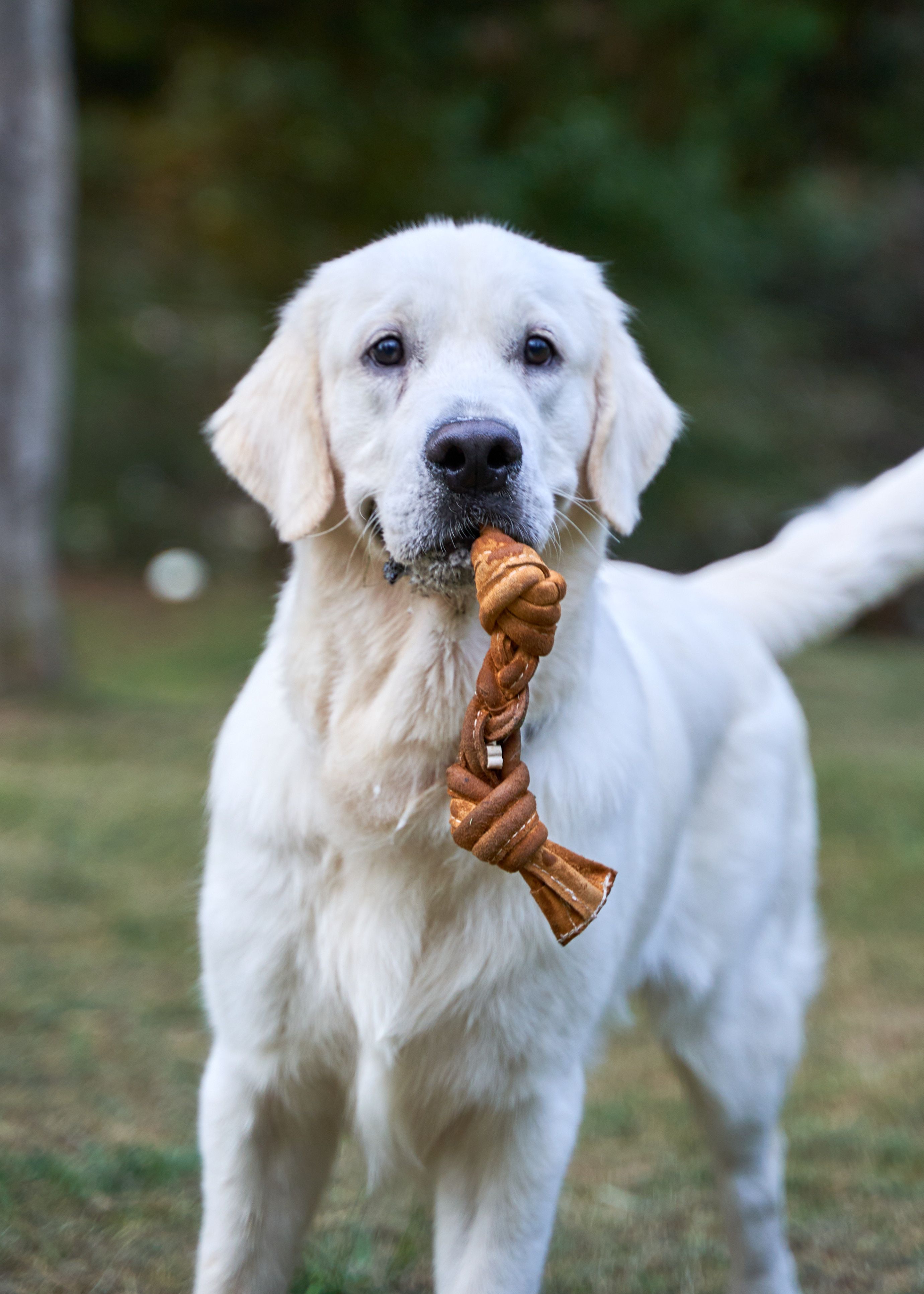 Produkt DTCT857344 Bild 8