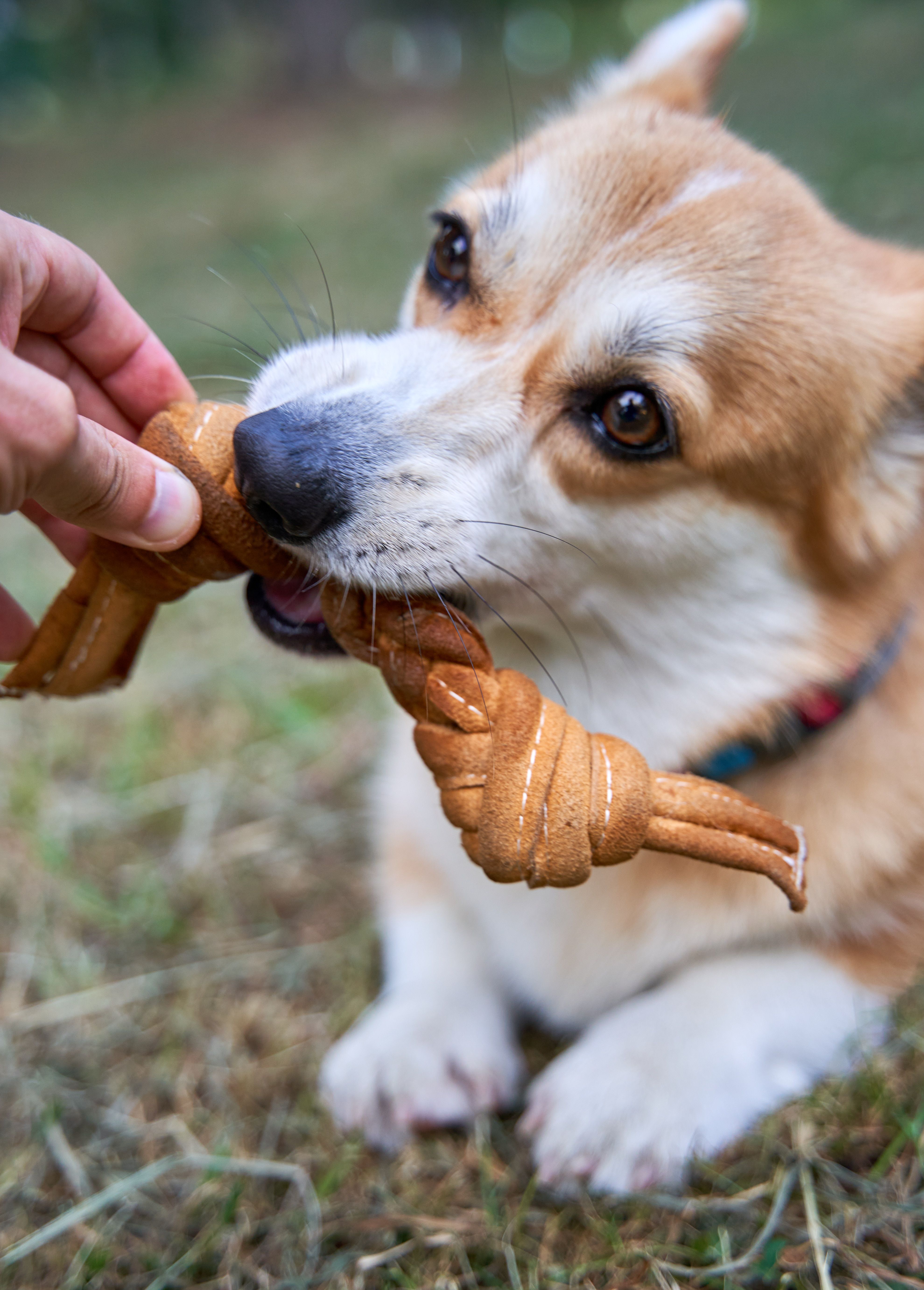 Produkt DTCT857344 Bild 9