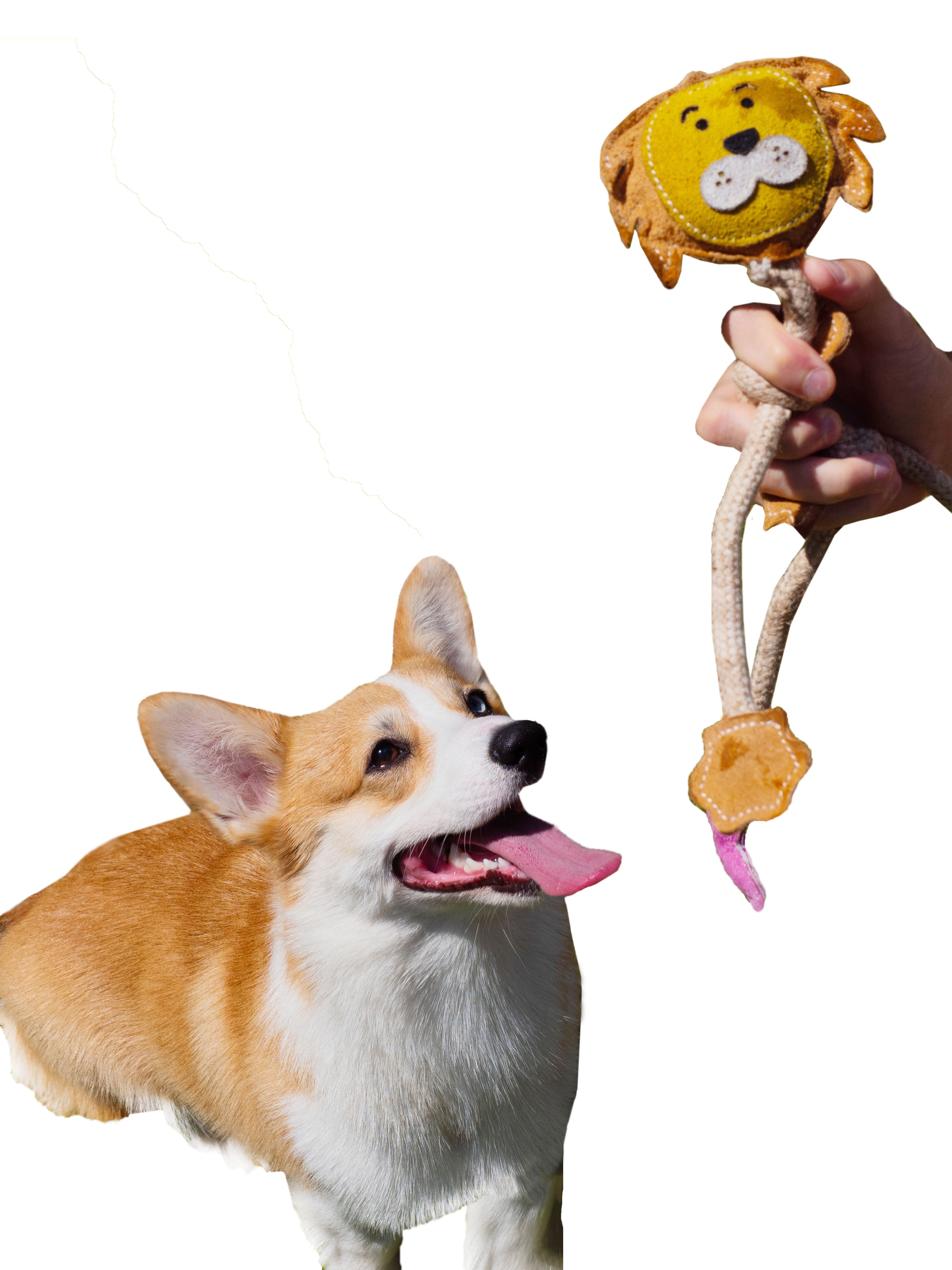 Product DTCT857795 photo 4