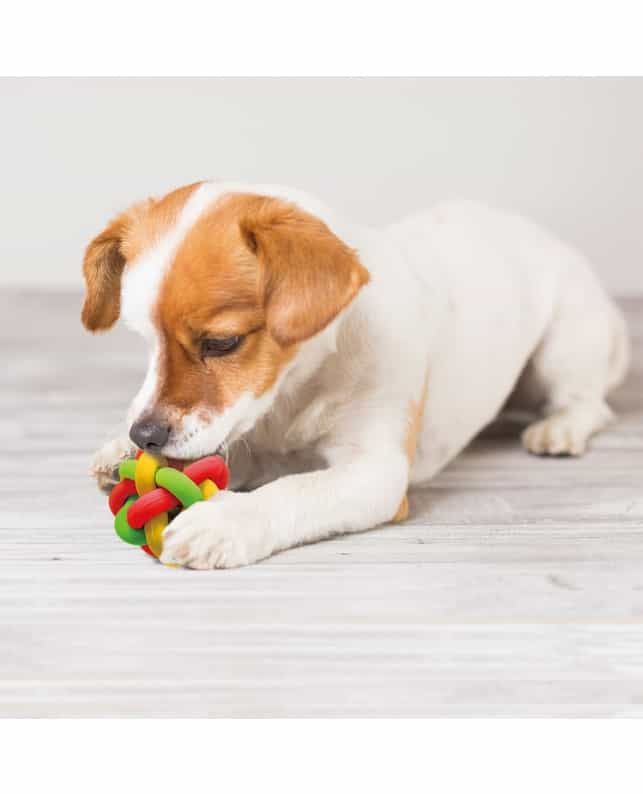 Produkt DTI0858037 Bild 2