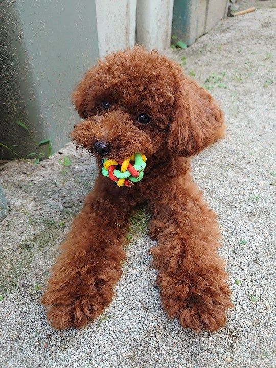 Produkt DTI0858041 Bild 3