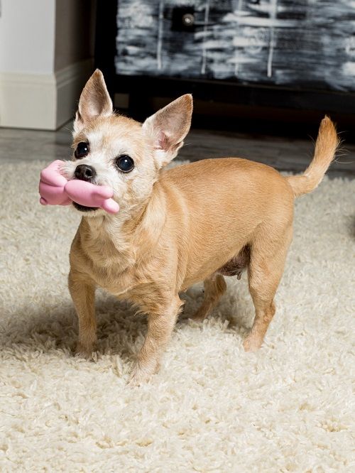 Product DTLT664637 photo 3