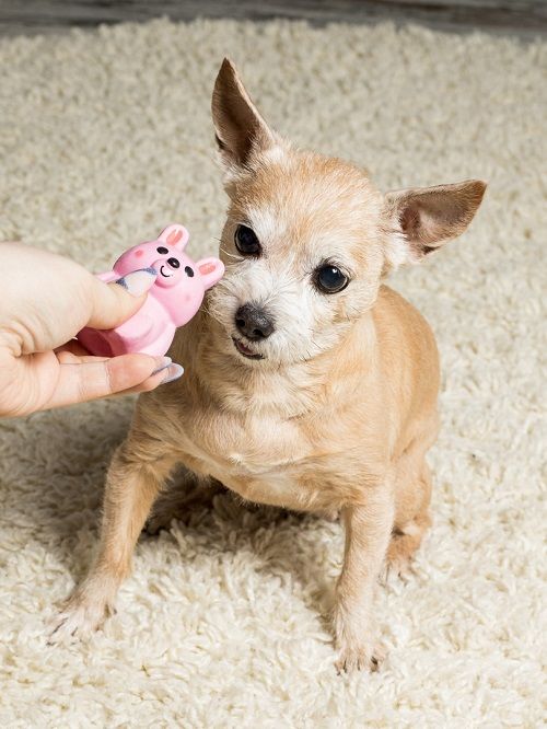 Product DTLT664637 photo 4