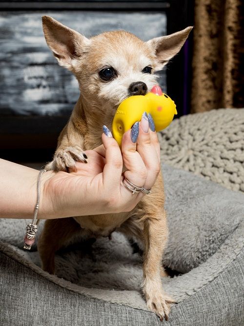 Produkt DTLT664668 Bild 3