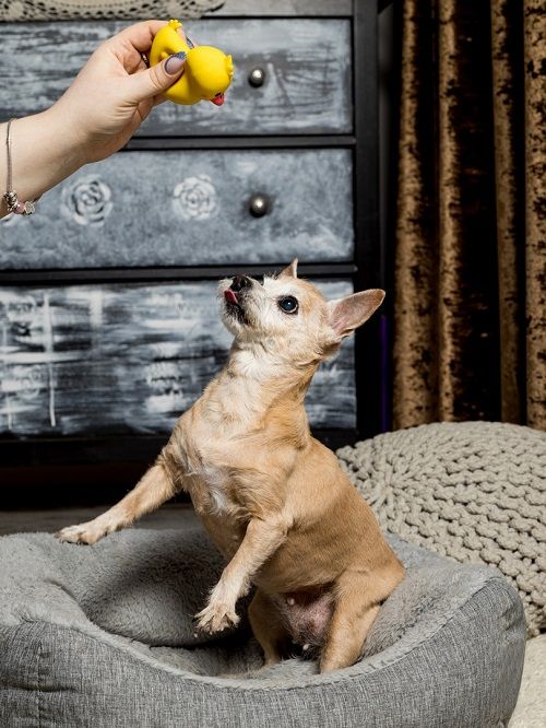 Produkt DTLT664668 Bild 4