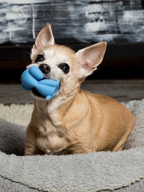 Product DTLT664675 photo 2