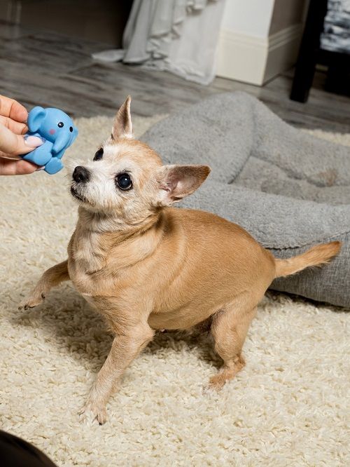 Product DTLT664675 photo 3