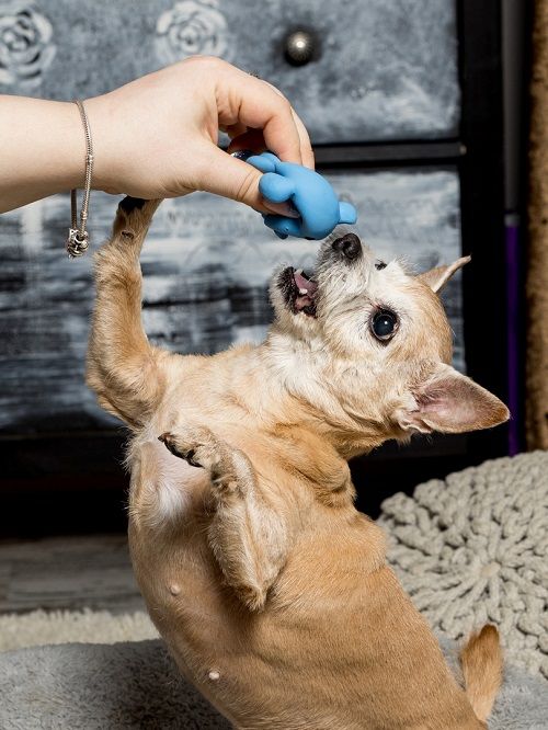 Product DTLT664675 photo 4