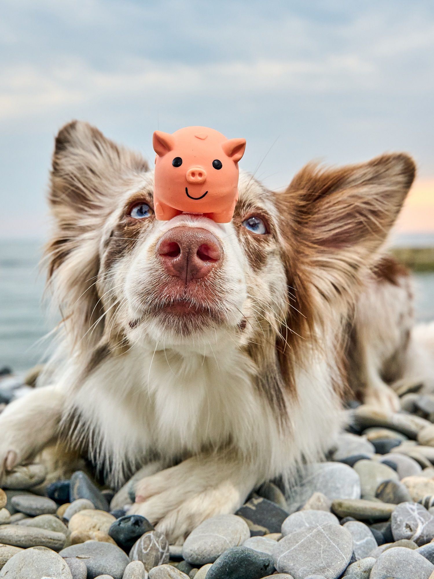 Product DTLT666105 photo 2