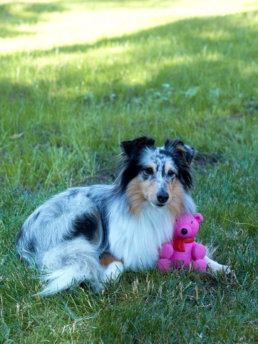 Produkt DTLT678887 Bild 10