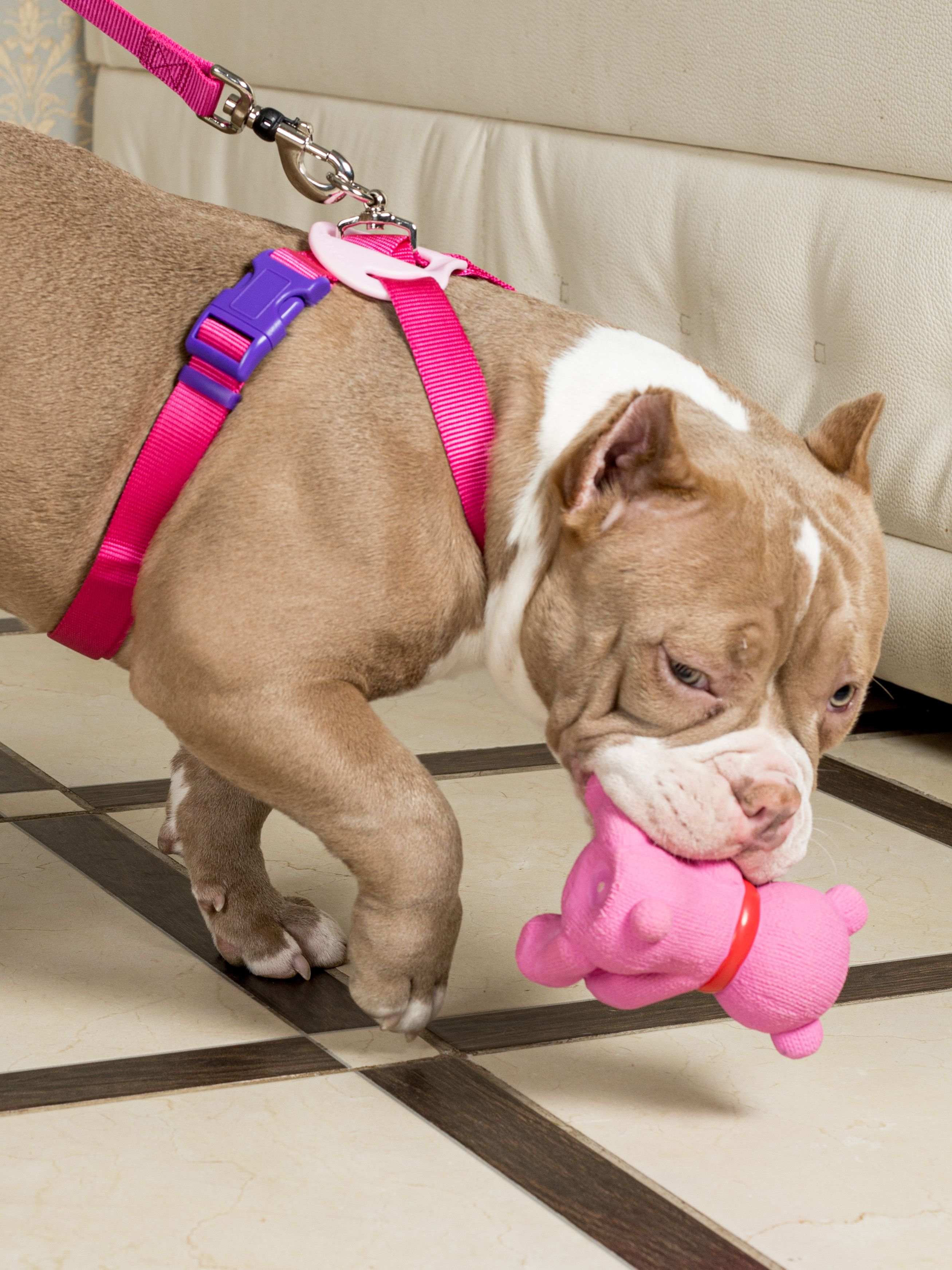 Produkt DTLT678887 Bild 11