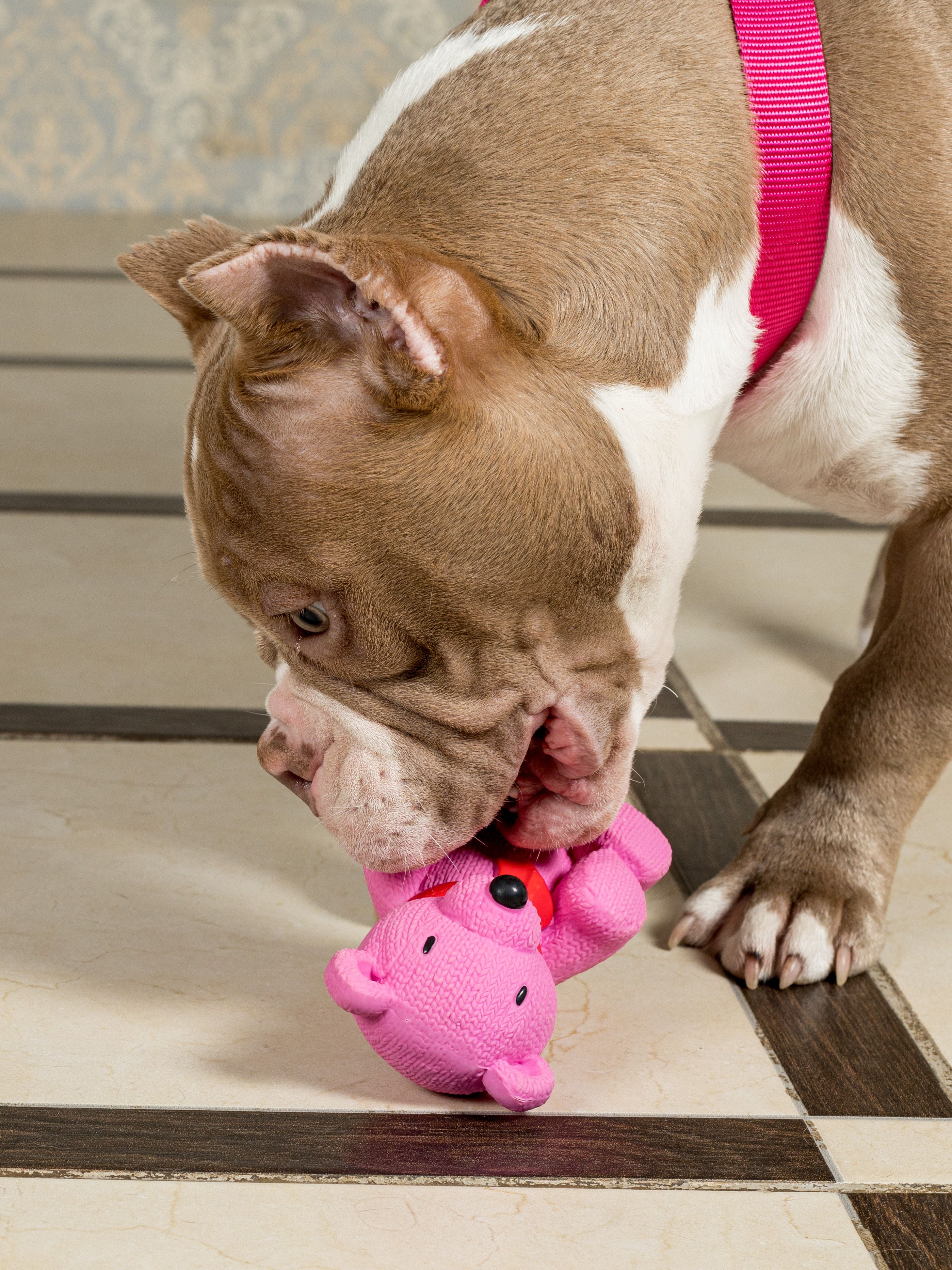 Produkt DTLT678887 Bild 13