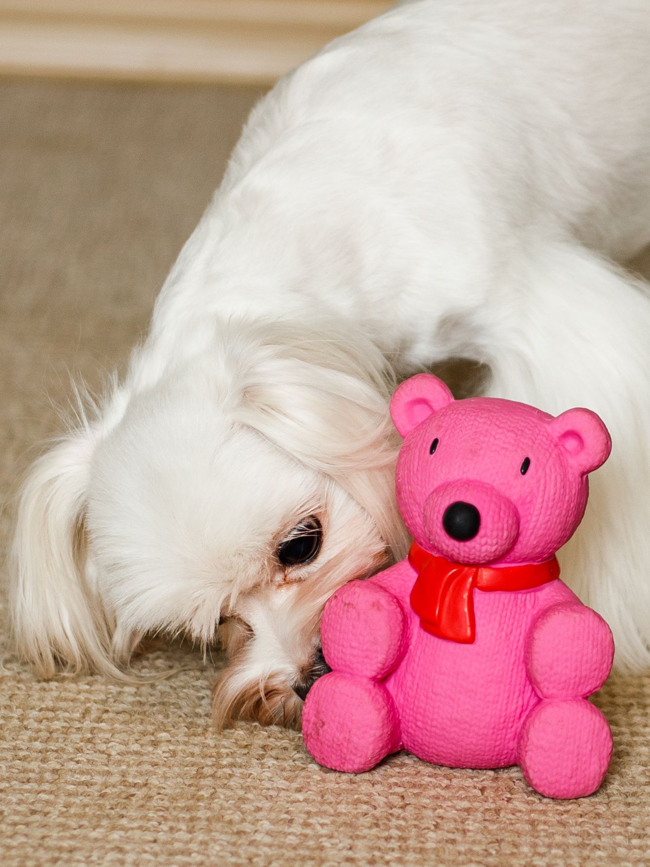 Produkt DTLT678887 Bild 14