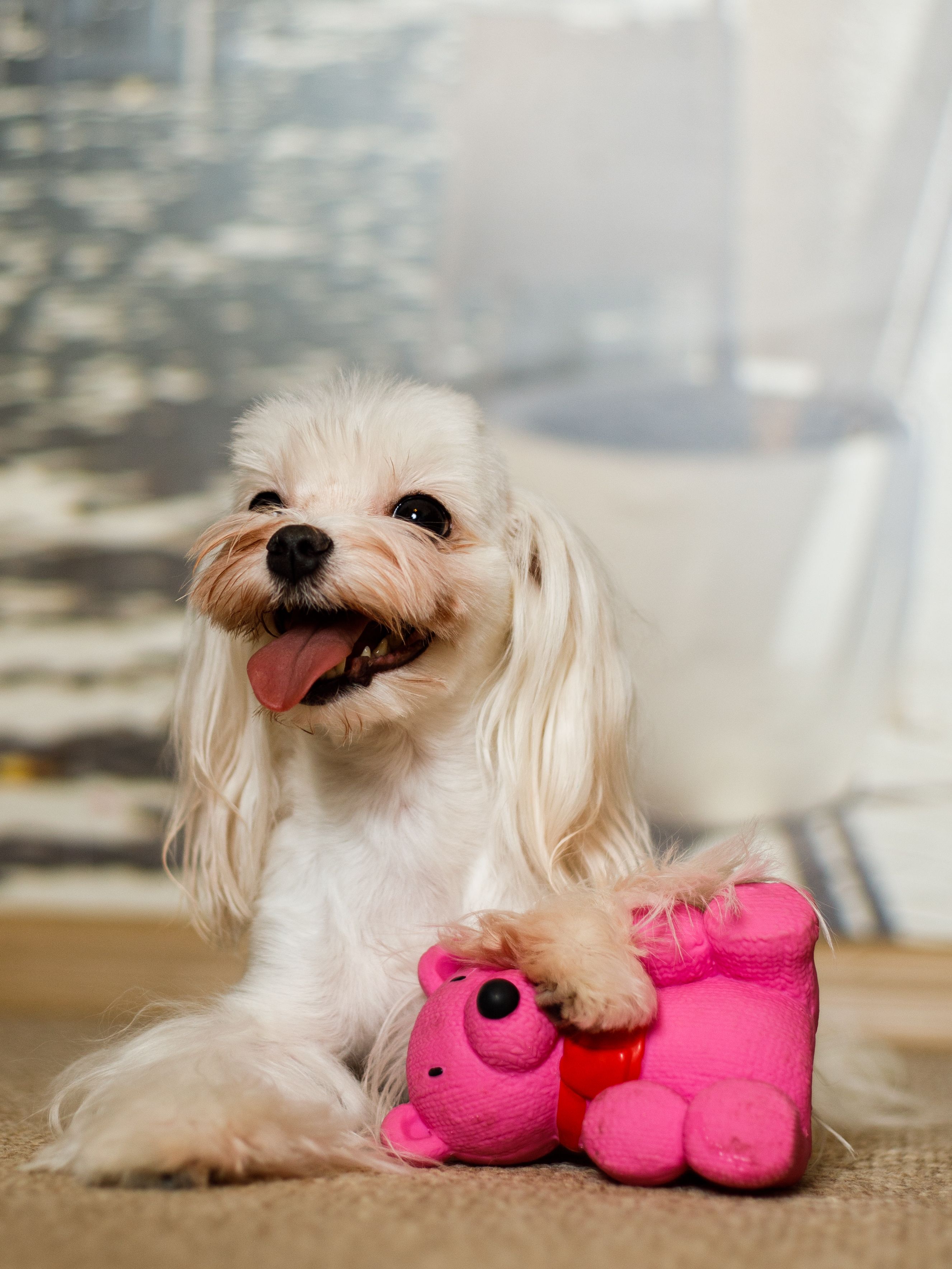 Produkt DTLT678887 Bild 15