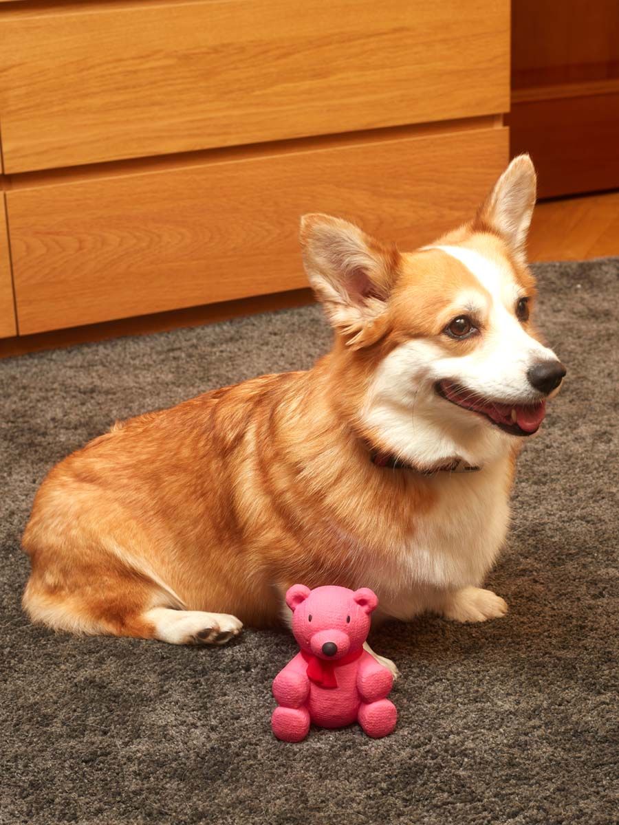 Produkt DTLT678887 Bild 16