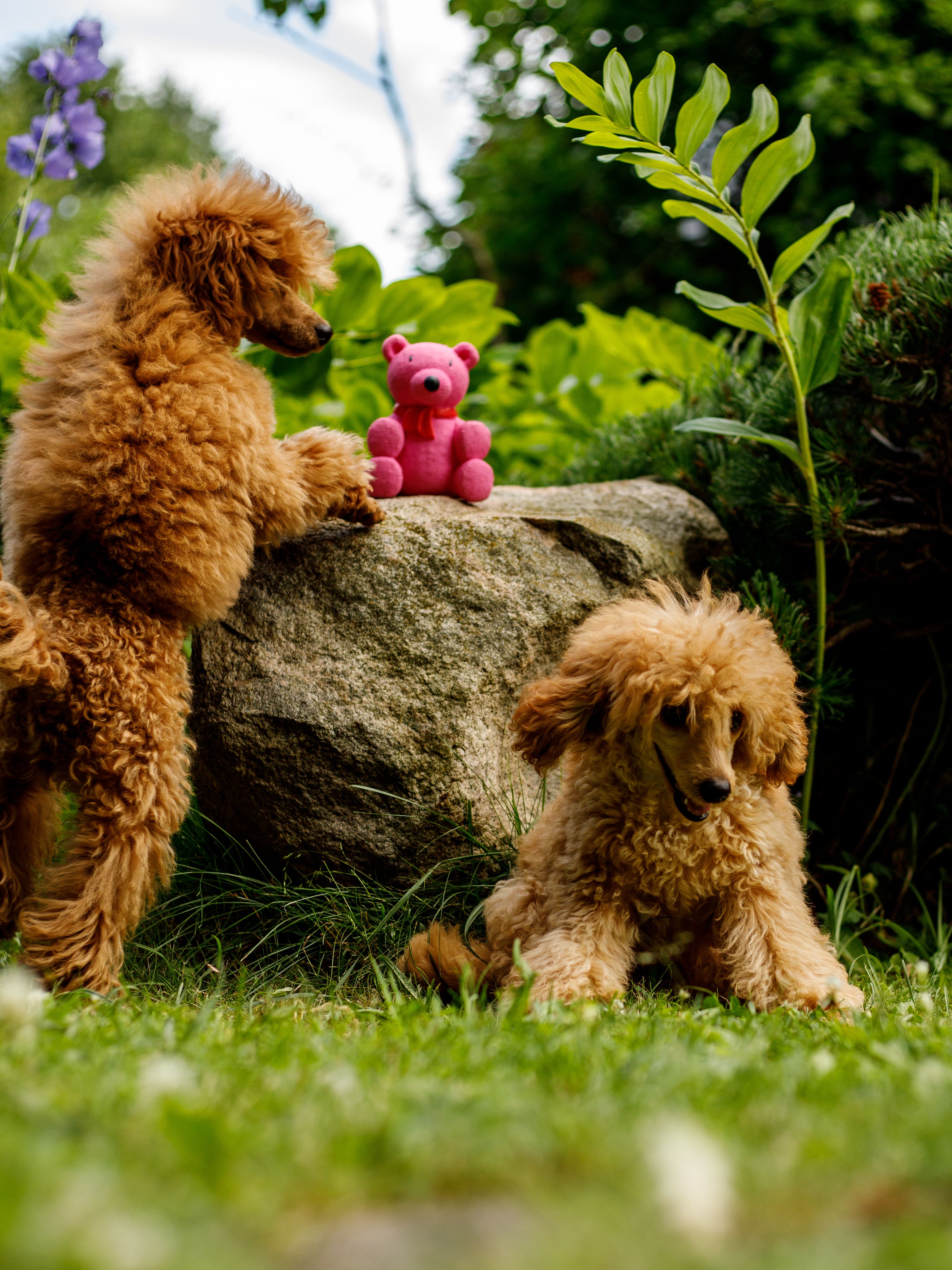 Produkt DTLT678887 Bild 2