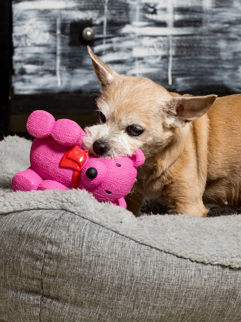 Produkt DTLT678887 Bild 4