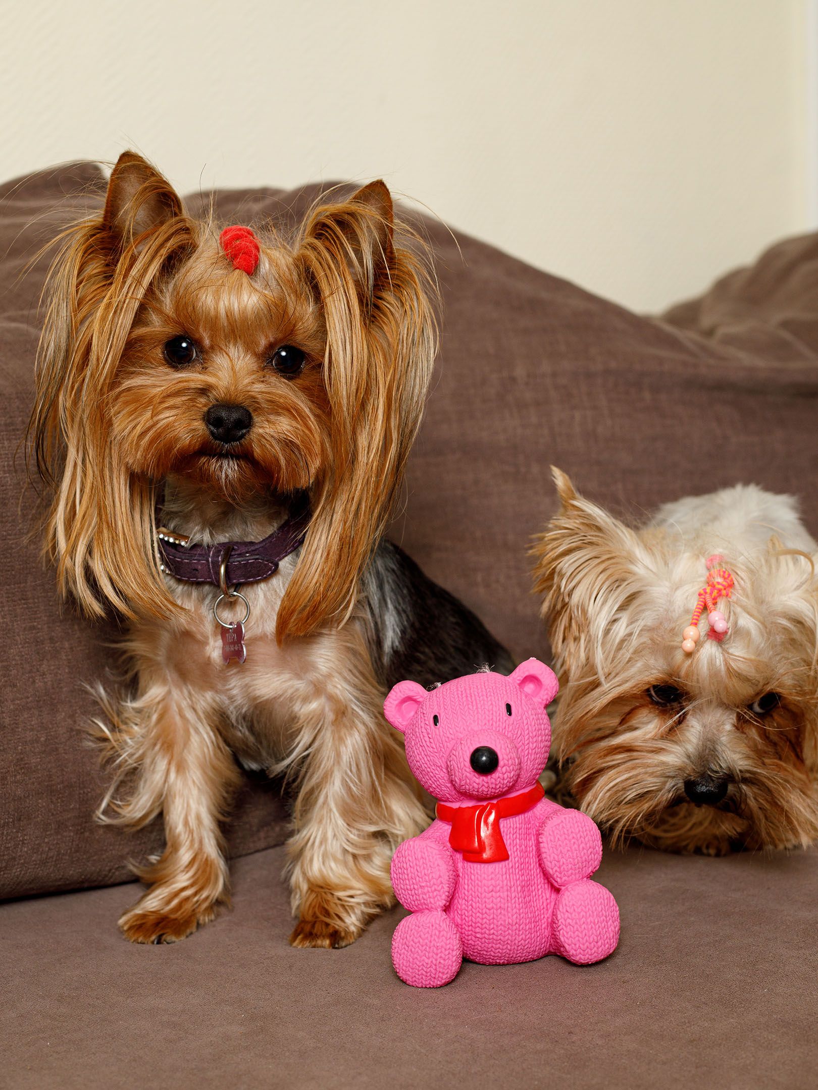 Produkt DTLT678887 Bild 5