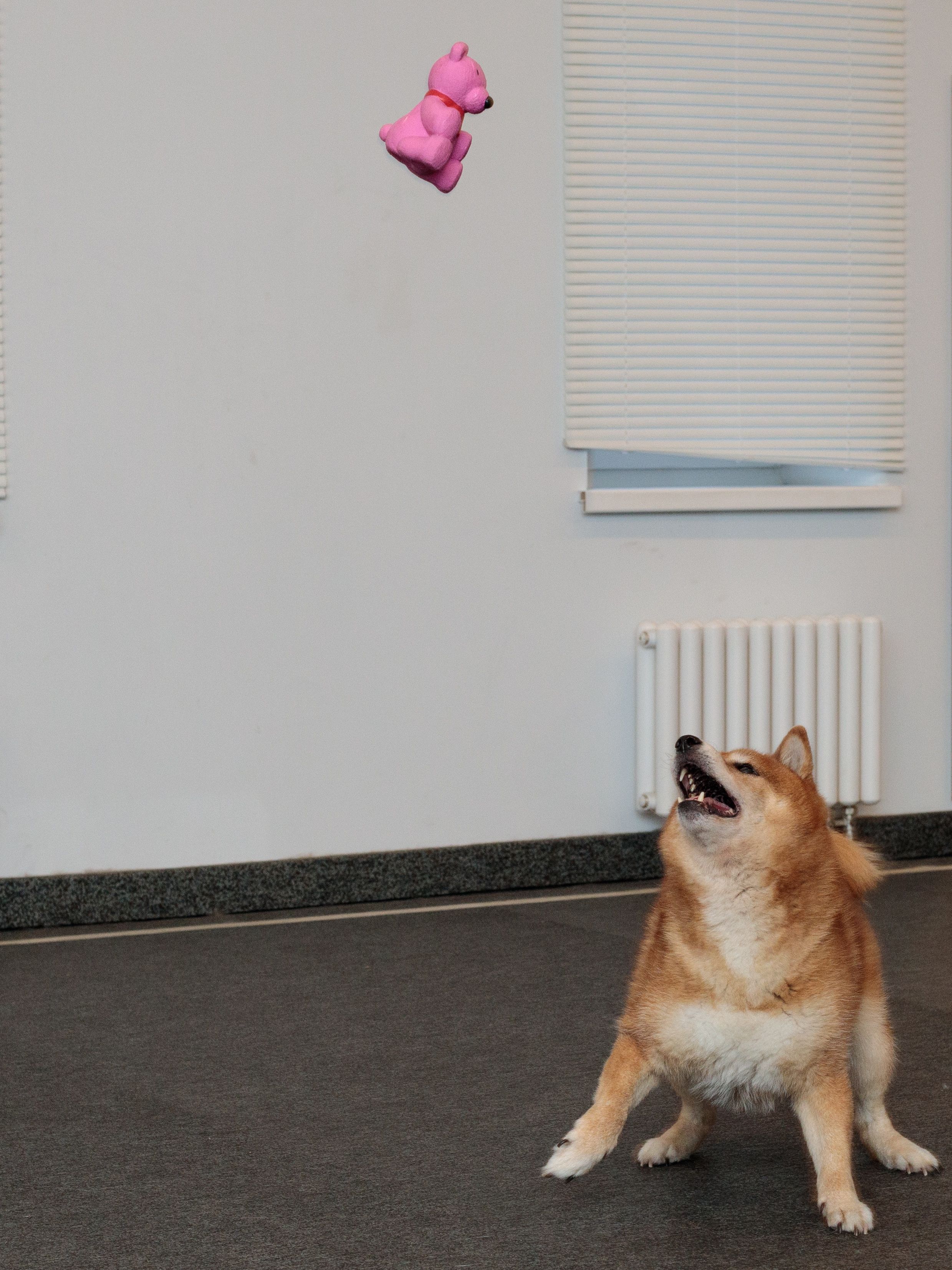 Produkt DTLT678887 Bild 8