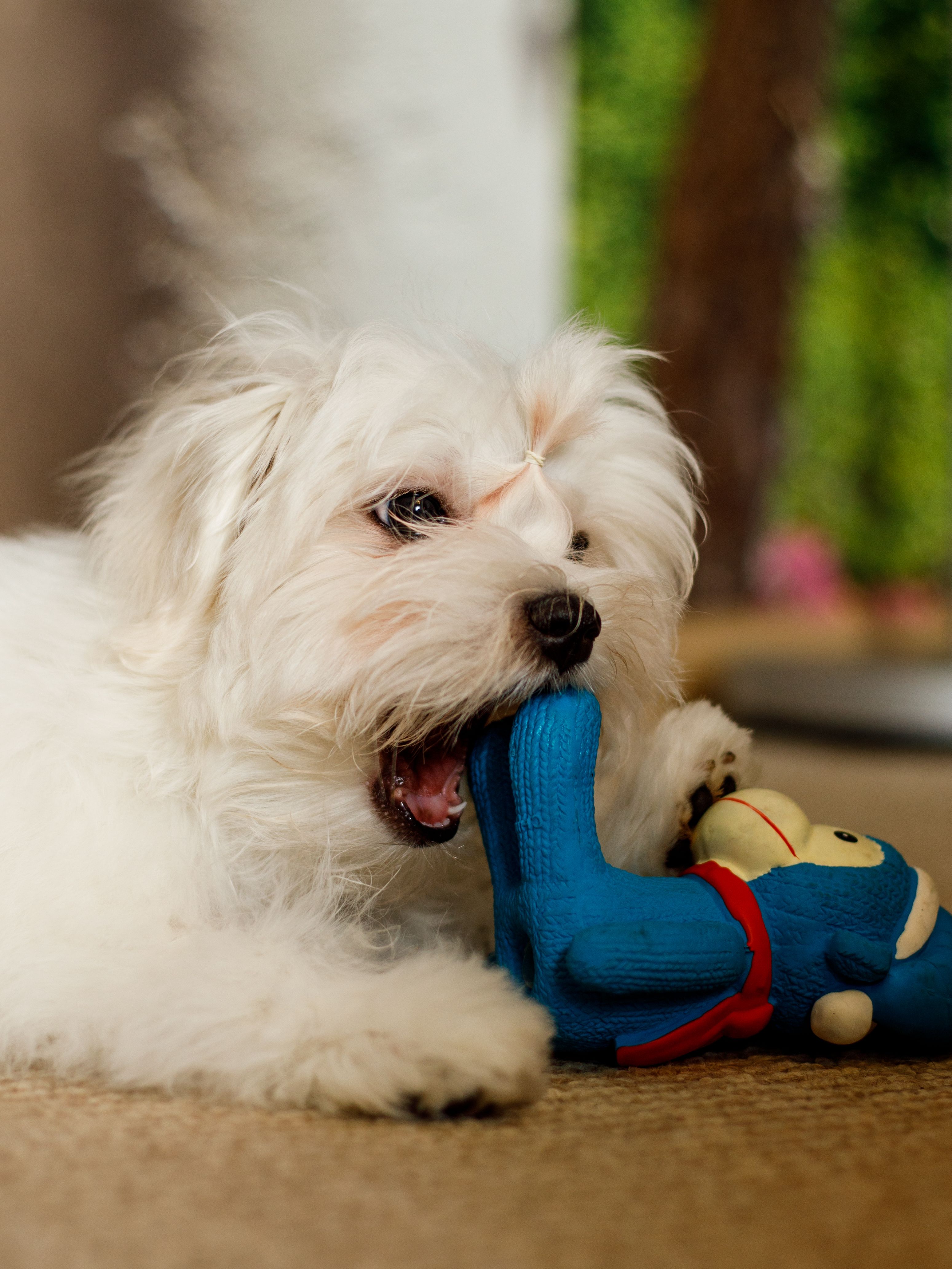 Produkt DTLT678894 Bild 10