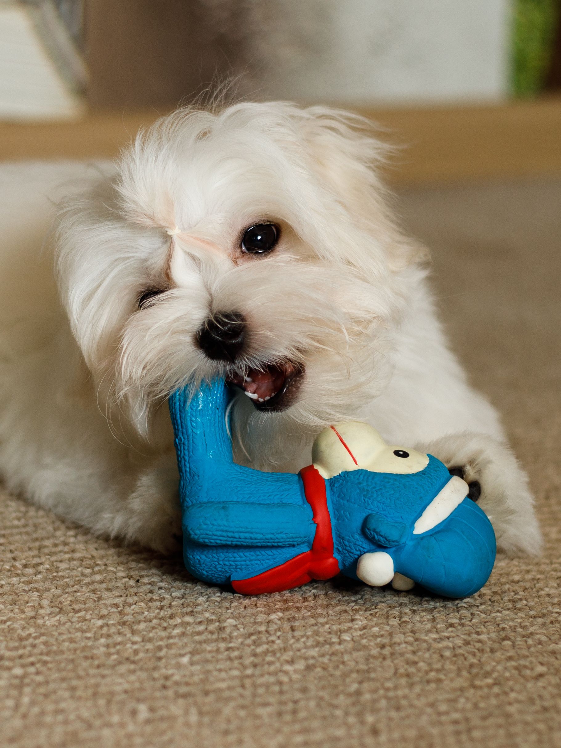 Produkt DTLT678894 Bild 3