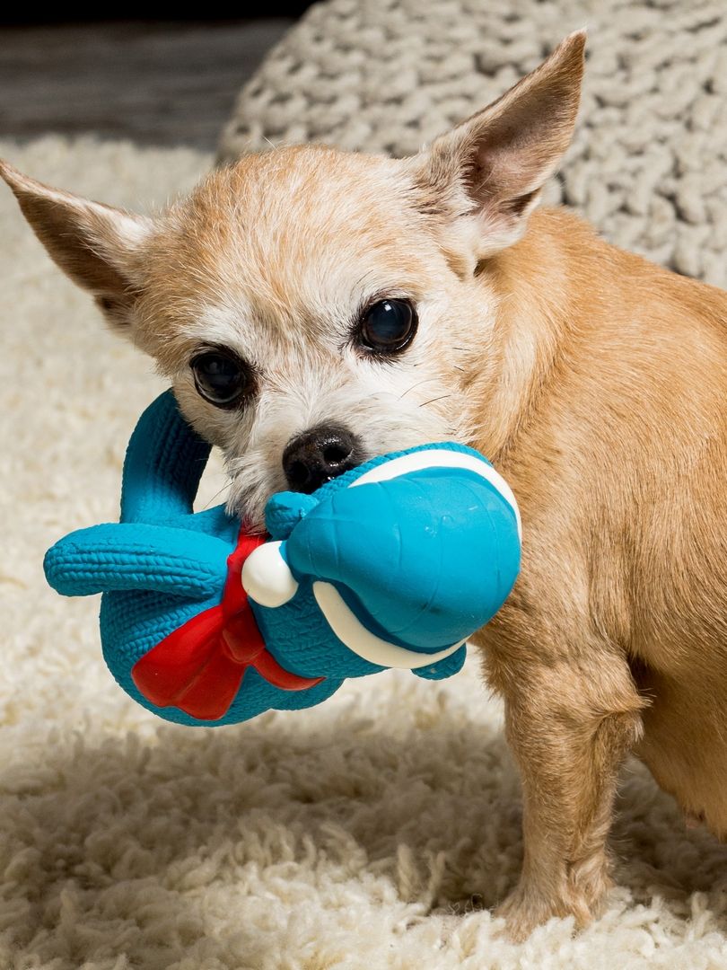 Produkt DTLT678894 Bild 4