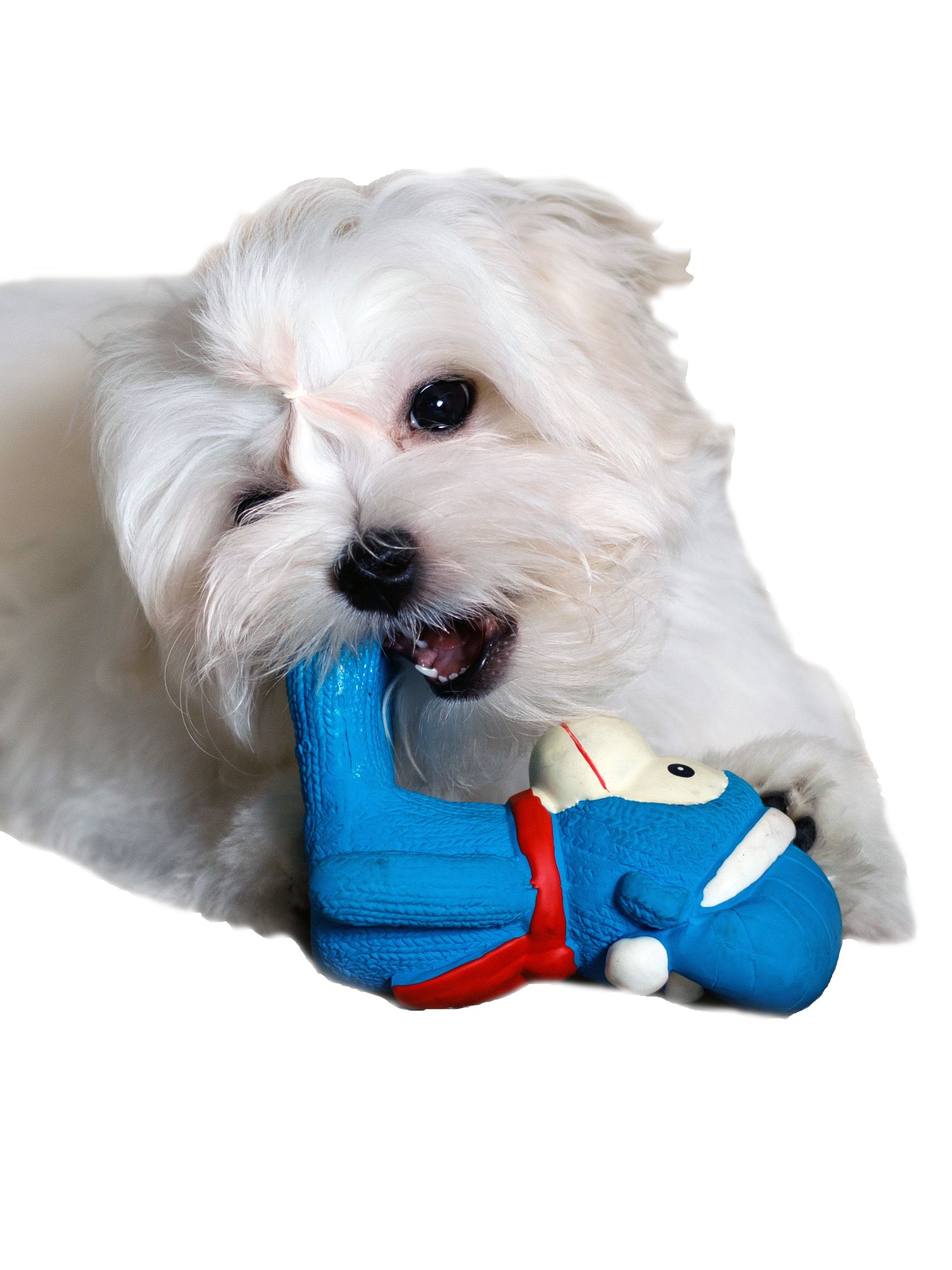 Produkt DTLT678894 Bild 5