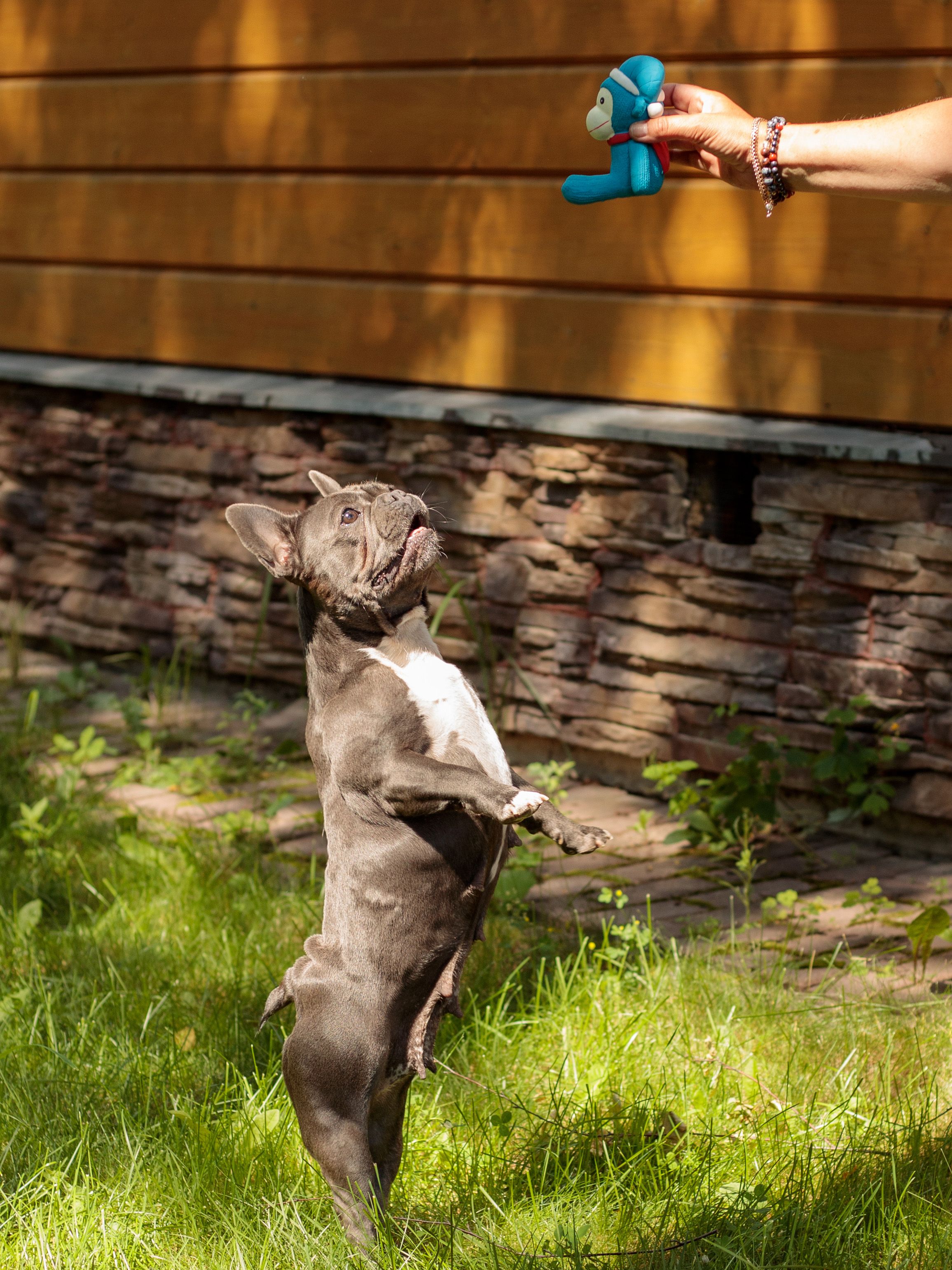 Produkt DTLT678894 Bild 7