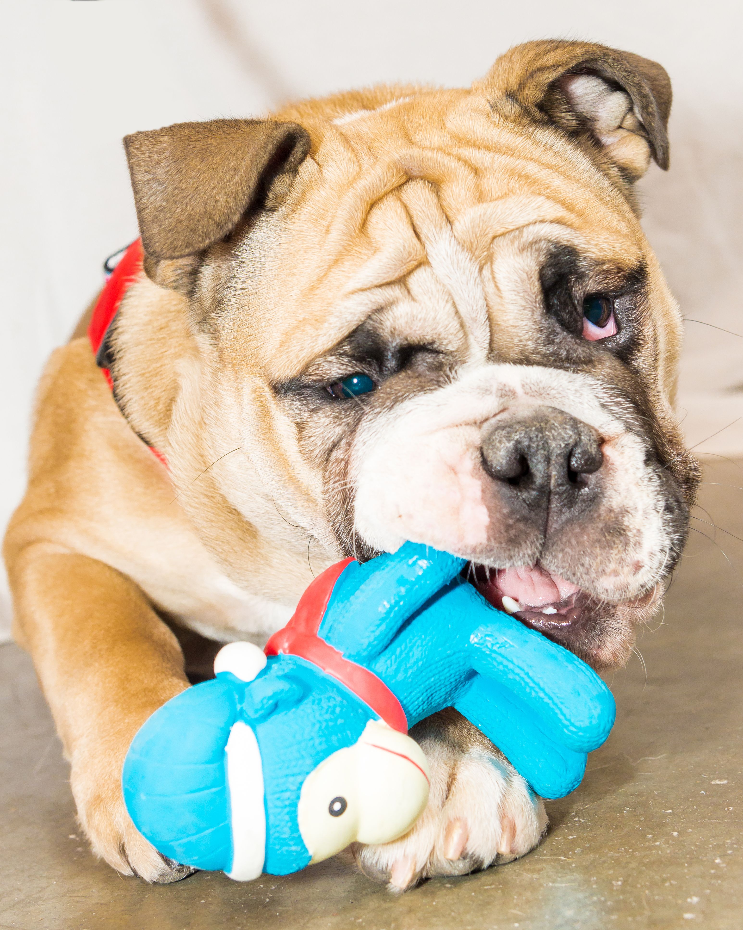 Produkt DTLT678894 Bild 8