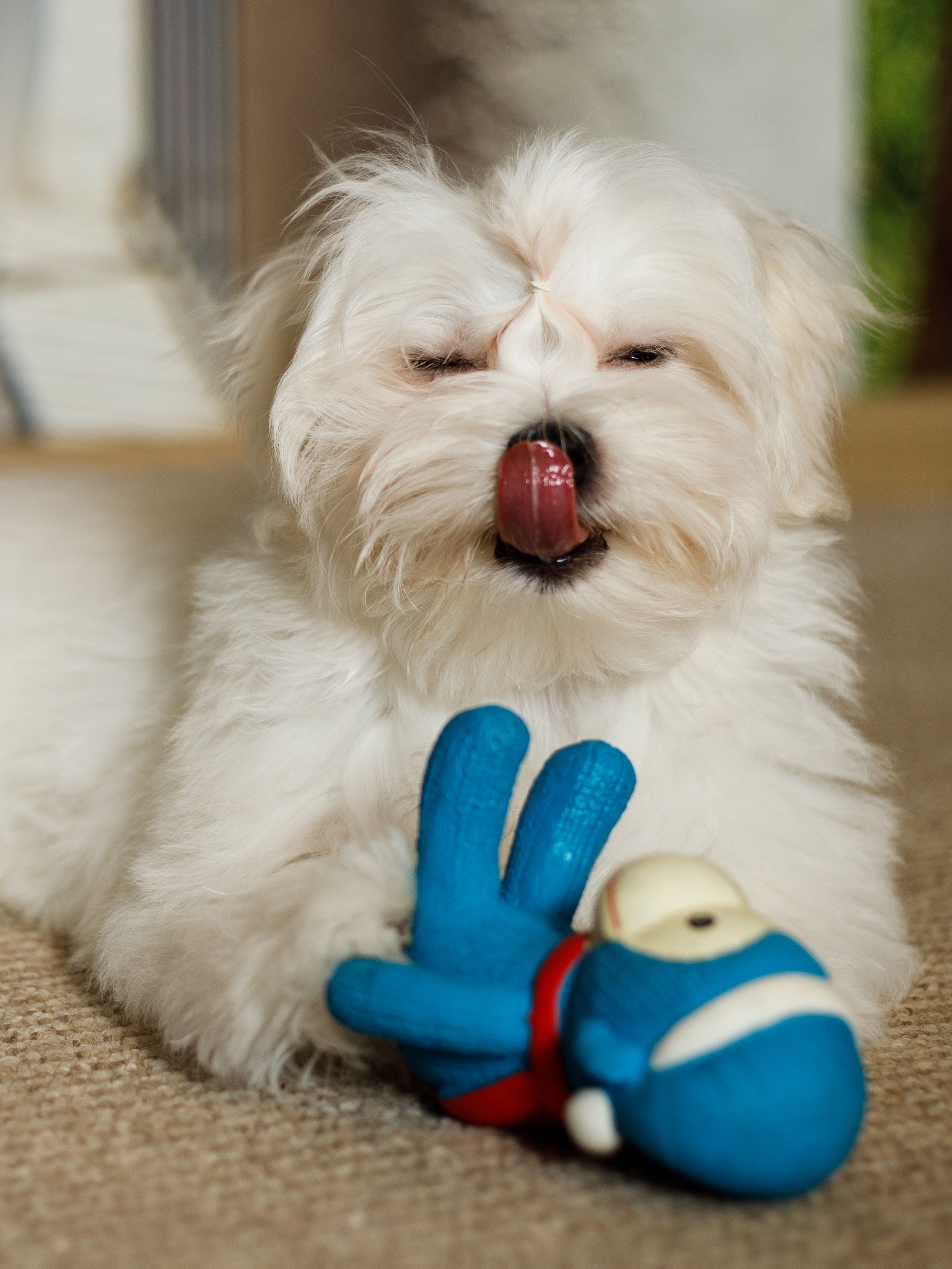 Produkt DTLT678894 Bild 9