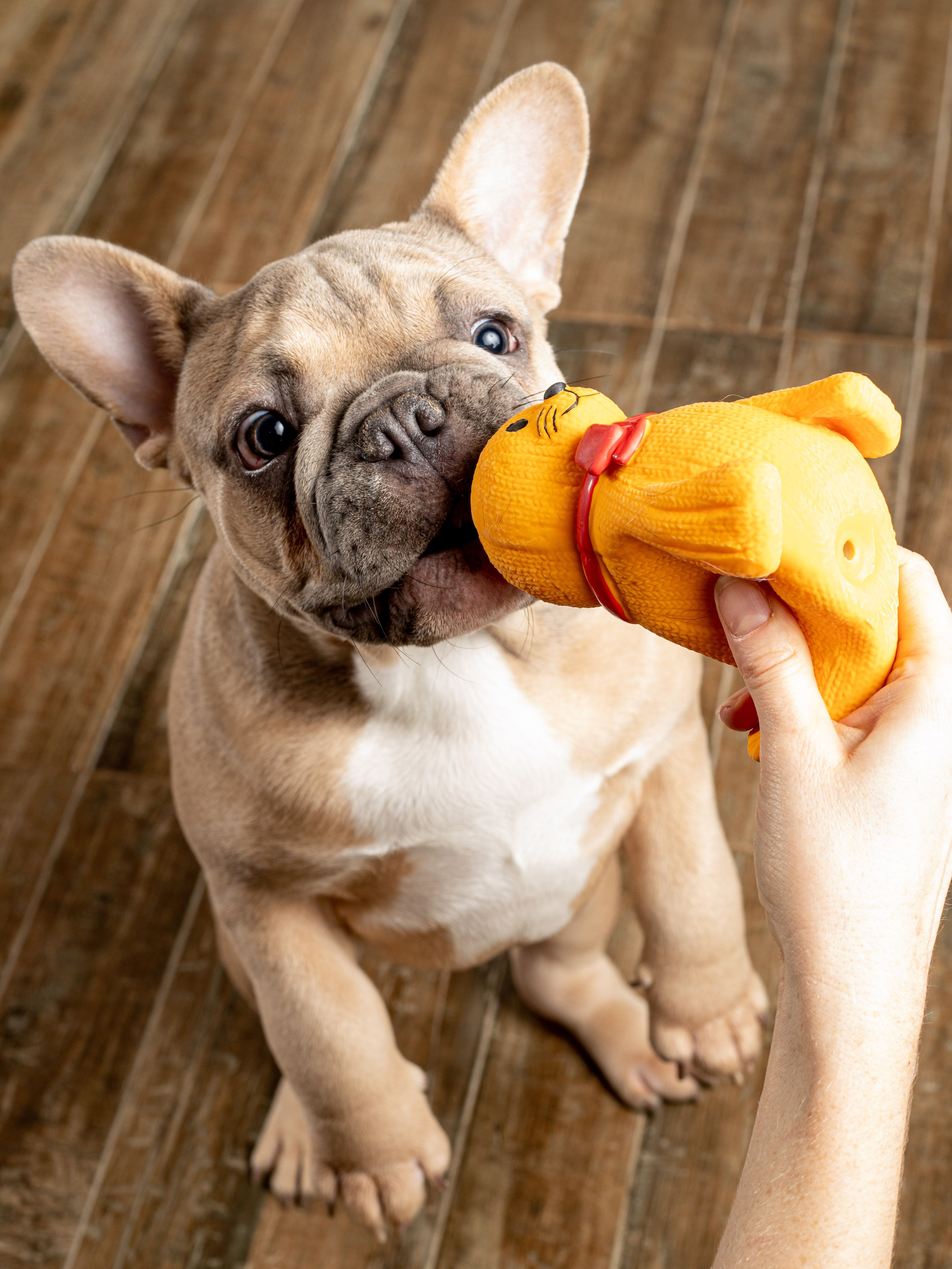 Produkt DTLT678900 Bild 10