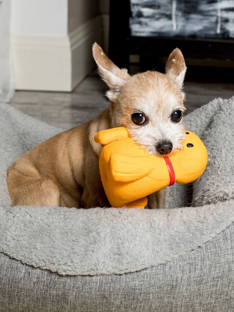 Produkt DTLT678900 Bild 11