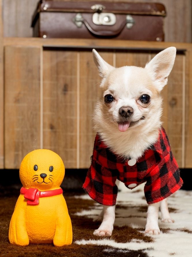 Produkt DTLT678900 Bild 2