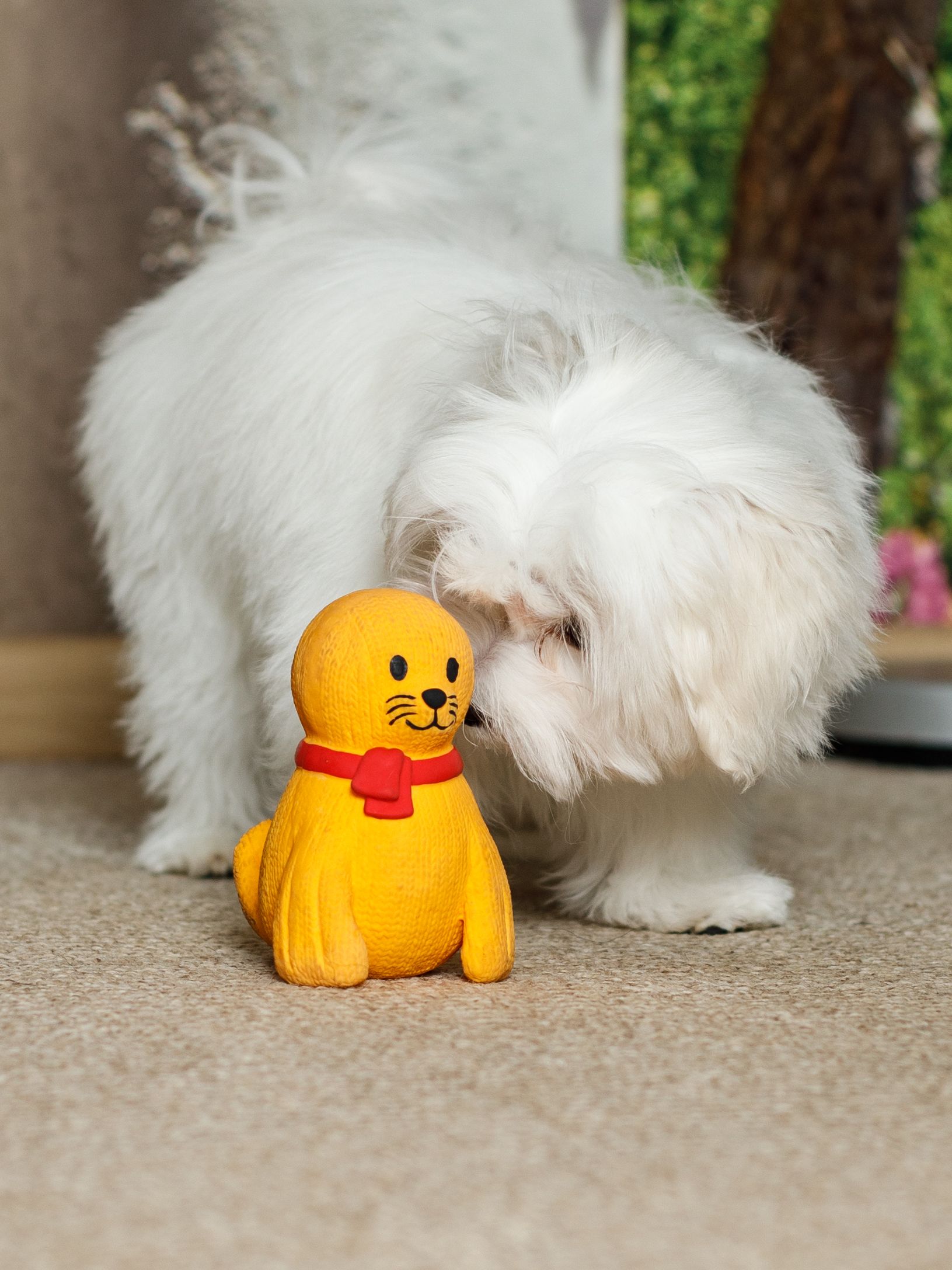 Produkt DTLT678900 Bild 3