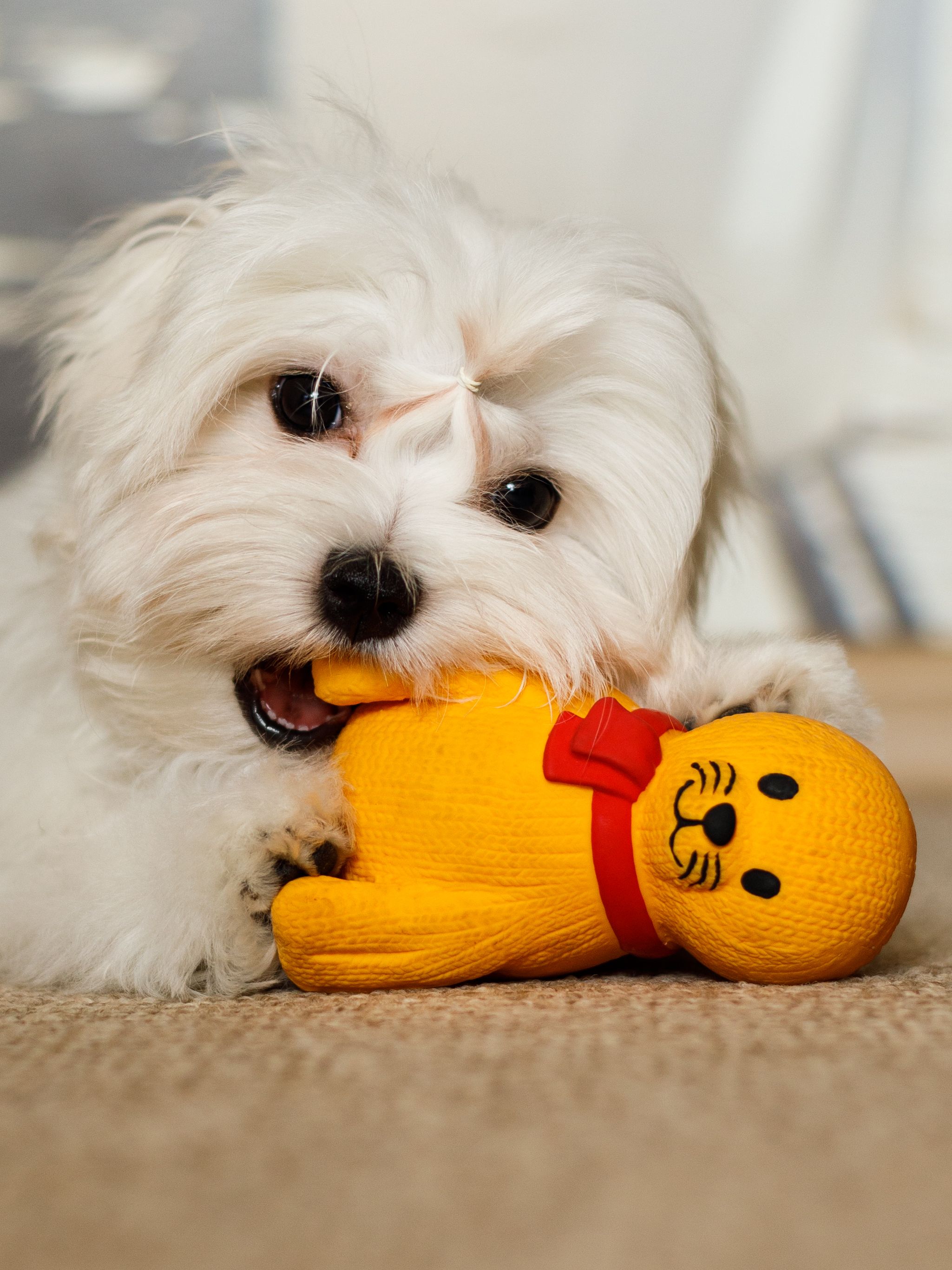 Produkt DTLT678900 Bild 4