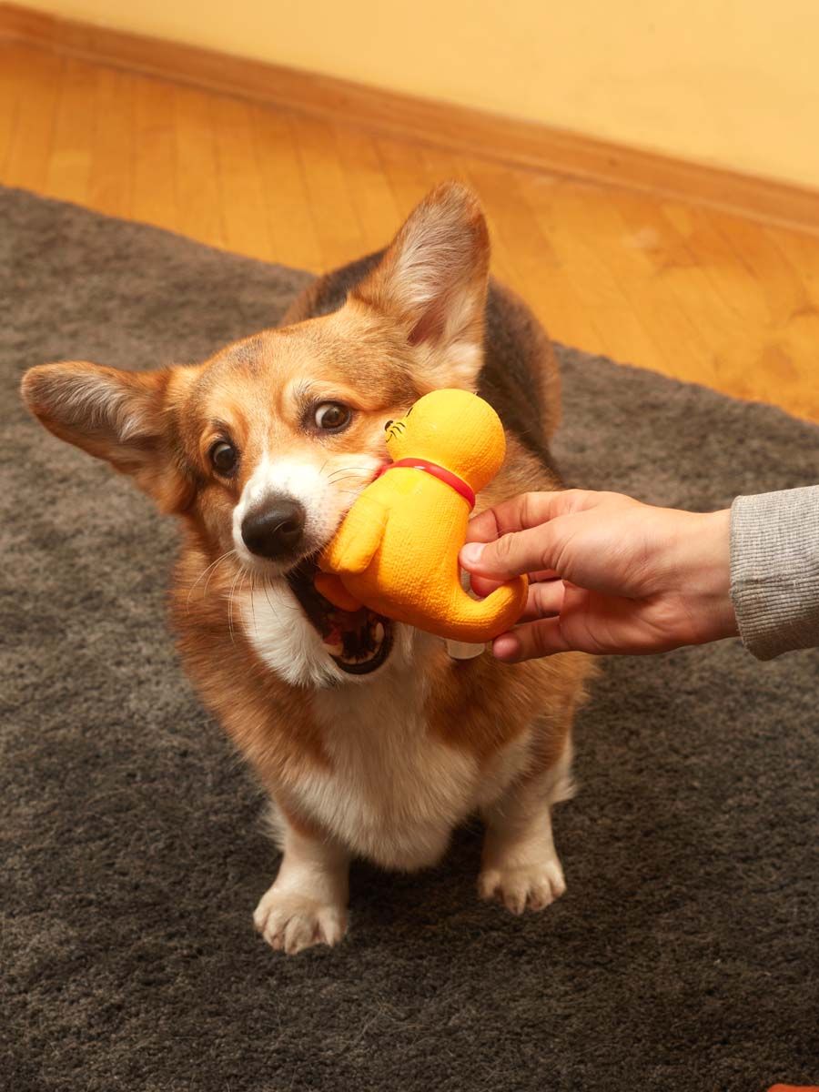 Produkt DTLT678900 Bild 5