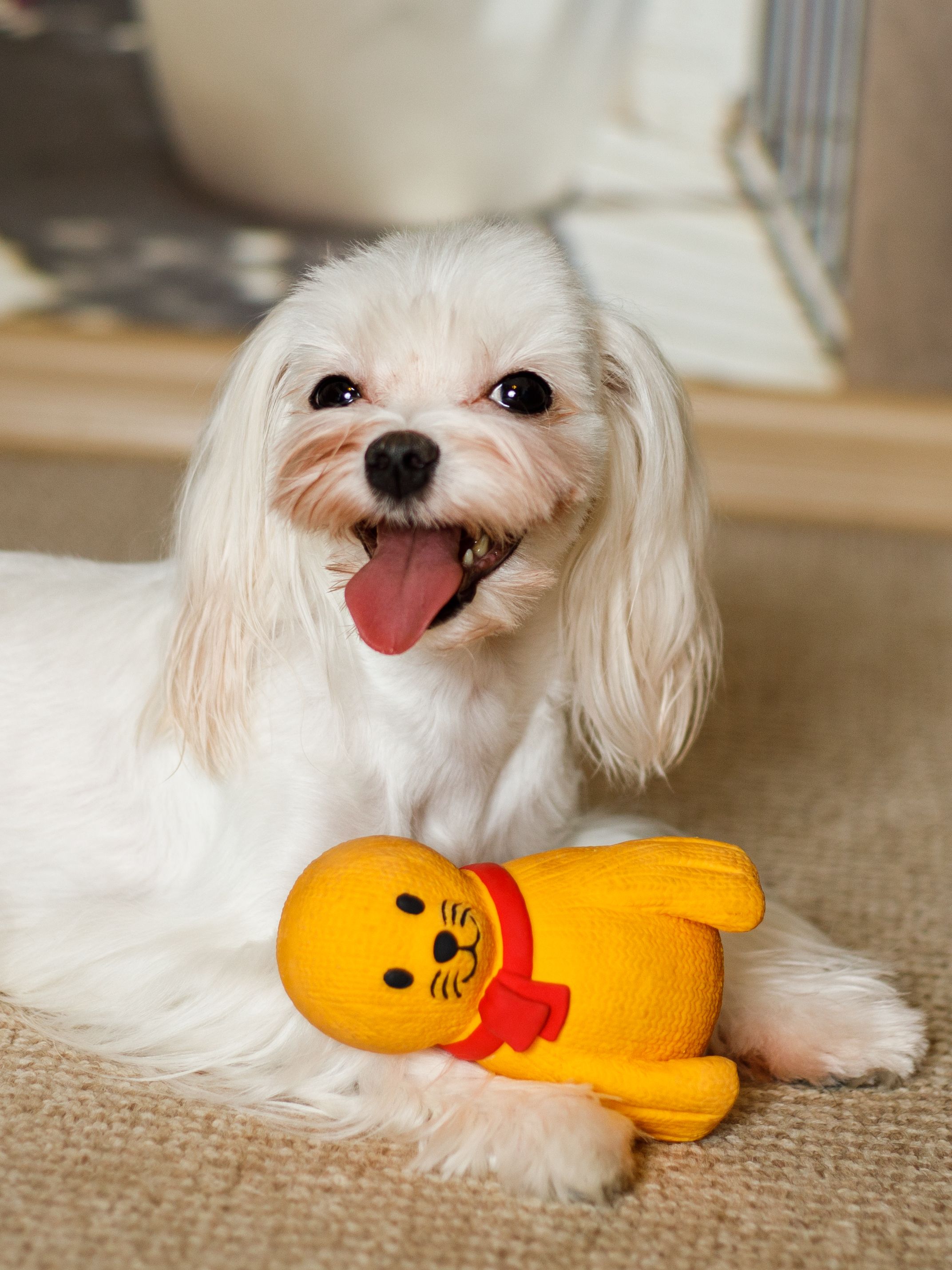 Produkt DTLT678900 Bild 6