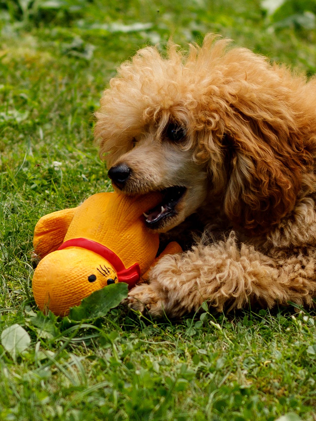 Produkt DTLT678900 Bild 9