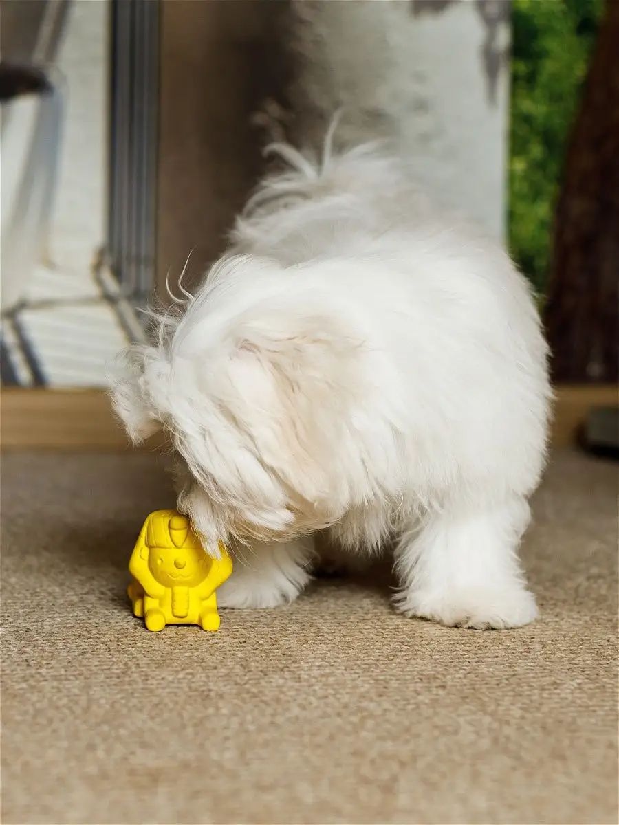 Product DTLT681016 photo 3