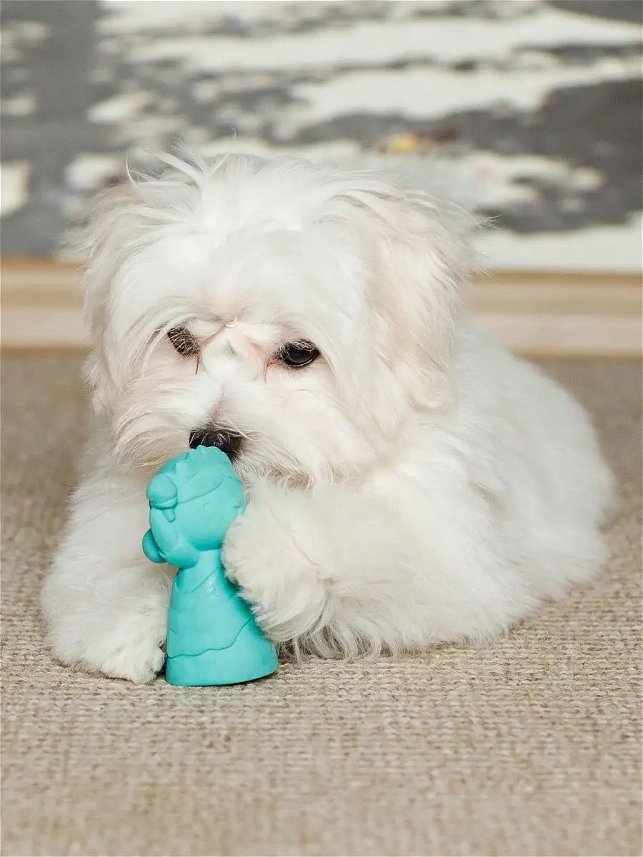 Product DTLT681023 photo 2