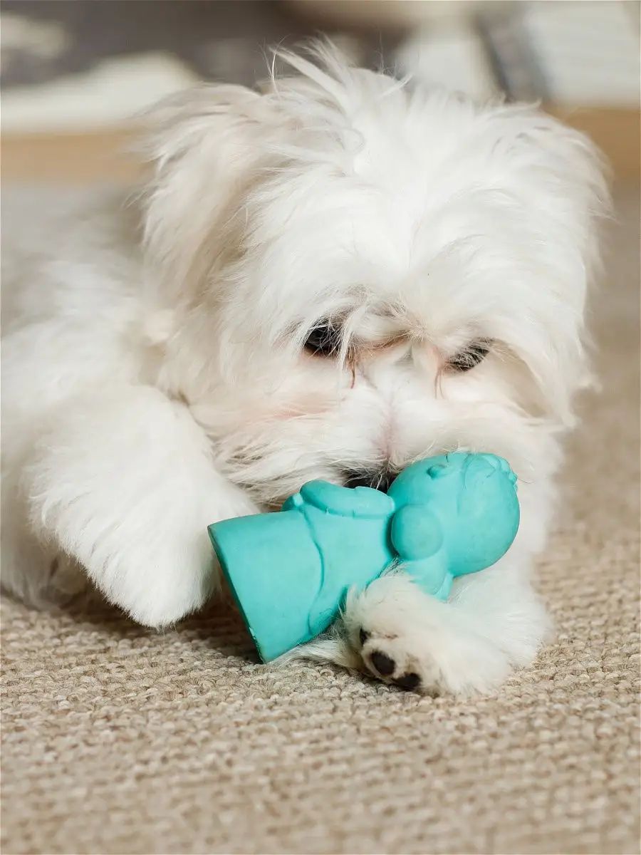 Product DTLT681023 photo 3