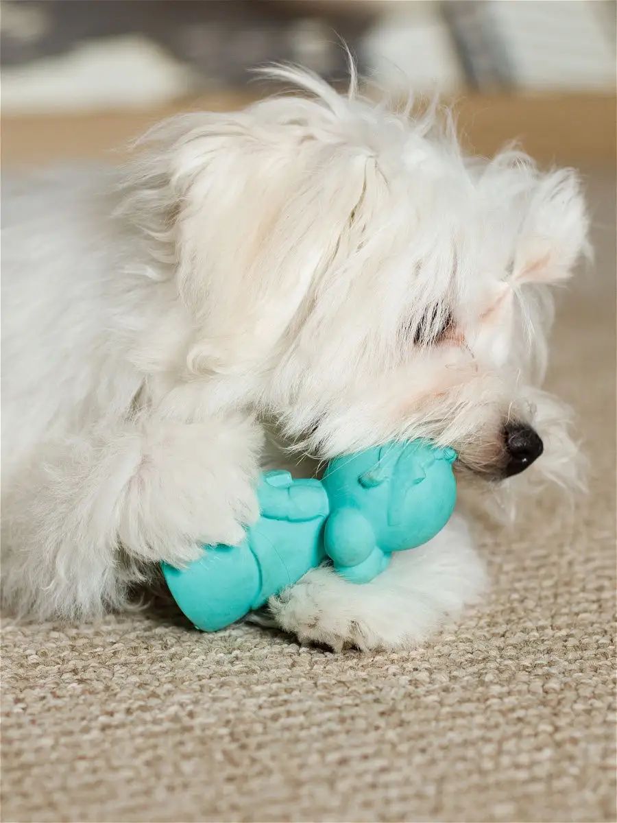 Product DTLT681023 photo 4