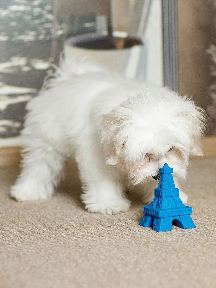 Produkt DTLT681030 Bild 2