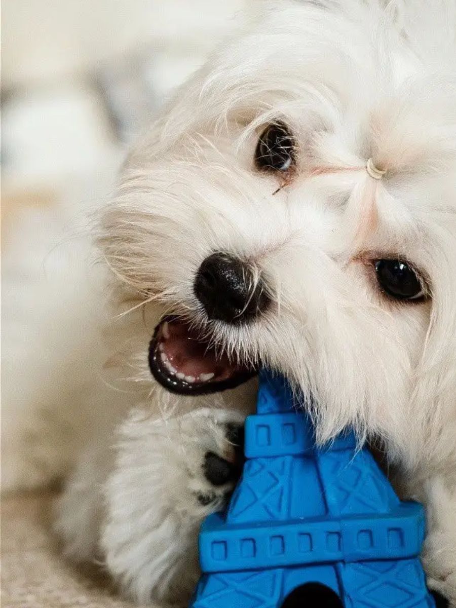 Produkt DTLT681030 Bild 3