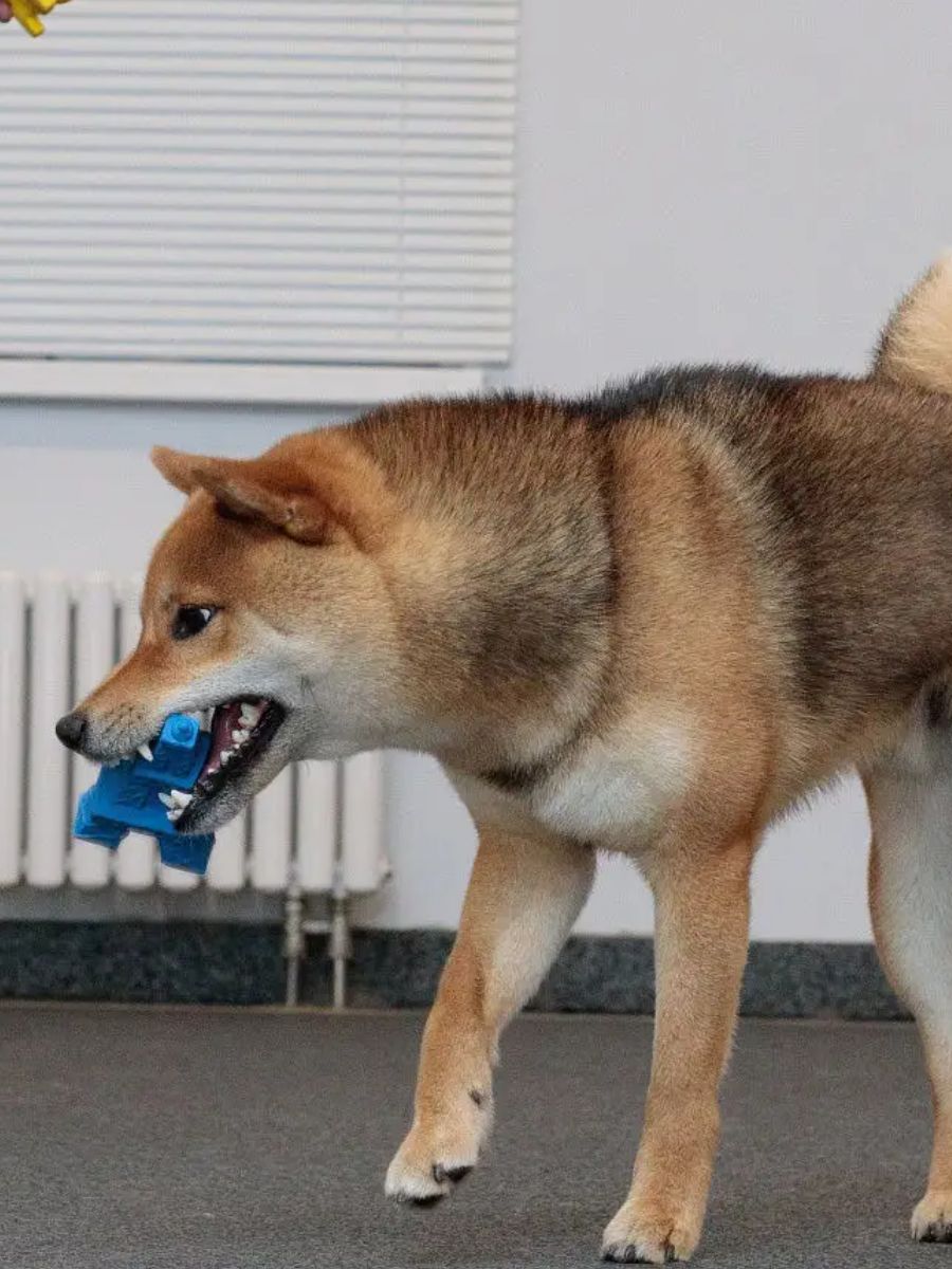 Produkt DTLT681030 Bild 4