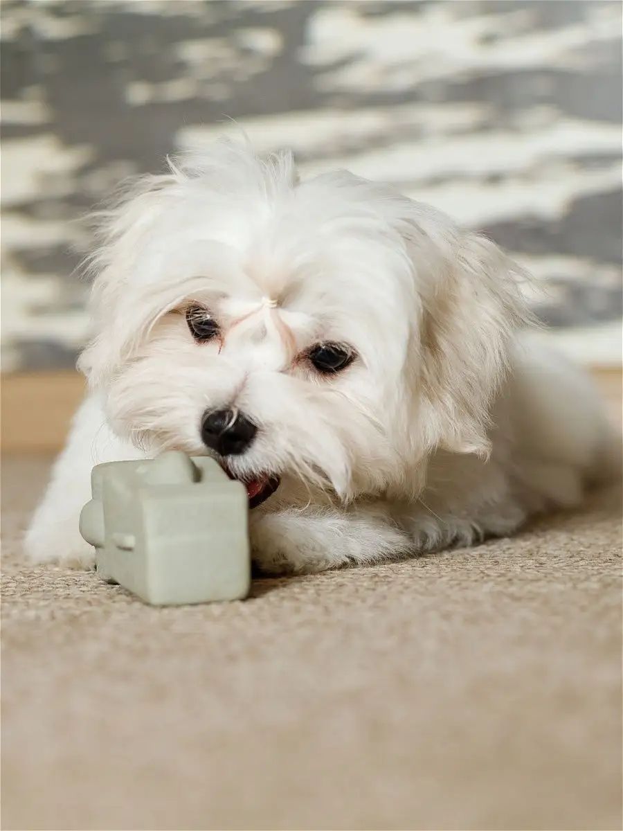 Produkt DTLT681047 Bild 2