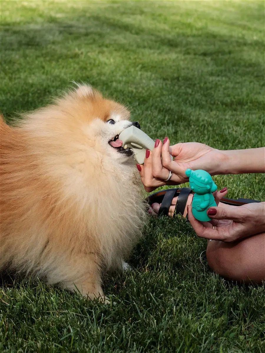 Produkt DTLT681047 Bild 4